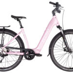 Econo Apes CITY EER4